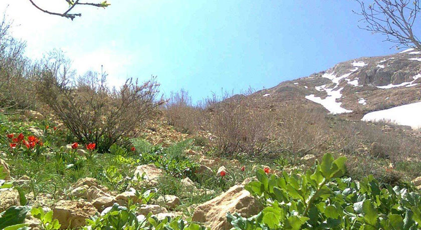 روستا خینه -  شهر اصفهان