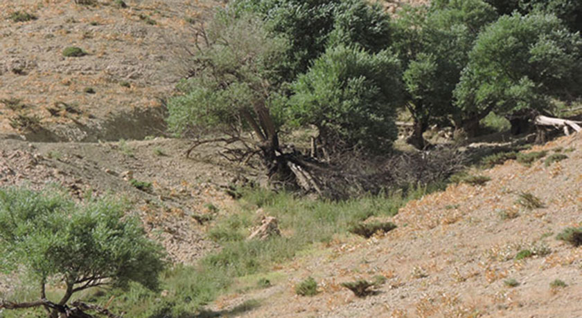  روستا خینه شهرستان اصفهان استان اصفهان