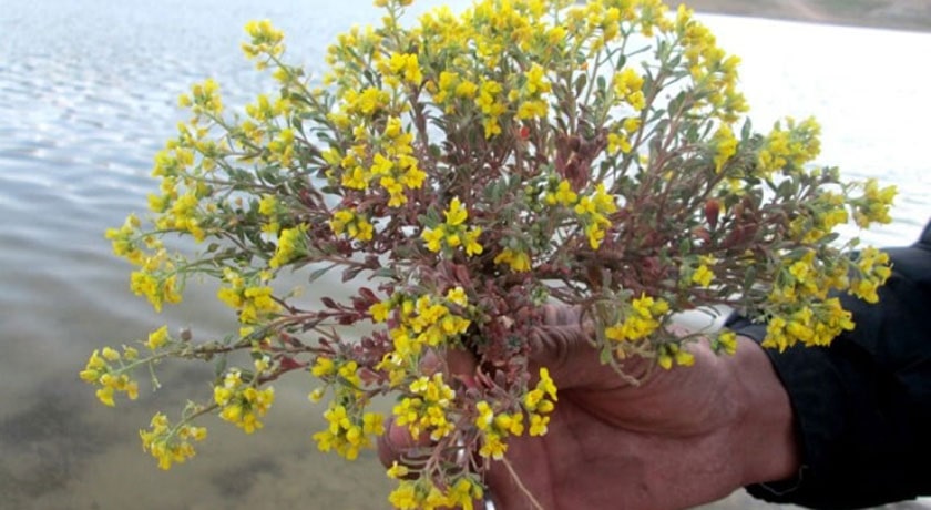 سد قره قاچ -  شهر اصفهان