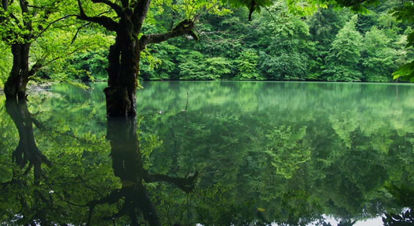 دریاچه چورت (میانشه) -  شهر ساری