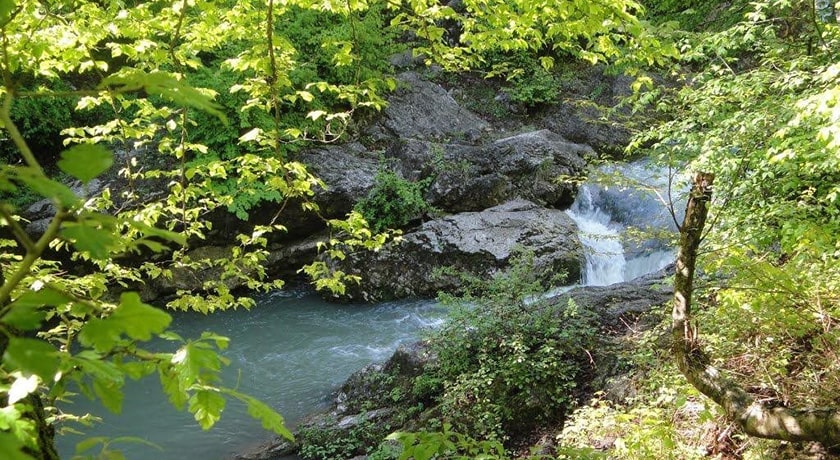 روستای پاجی -  شهر مازندران