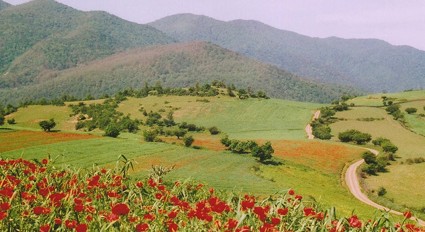  روستای سیاوش کلا شهرستان مازندران استان ساری