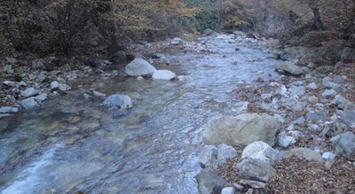  رودخانه اشک شهرستان مازندران استان ساری