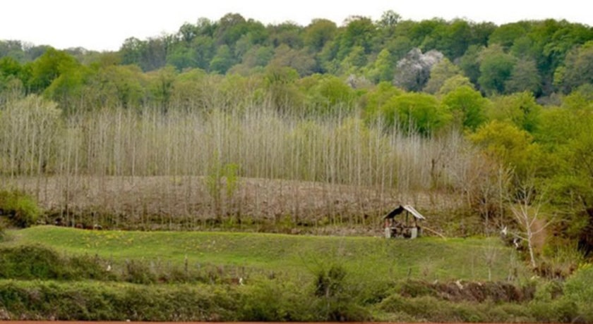 روستای ارزفون -  شهر ساری