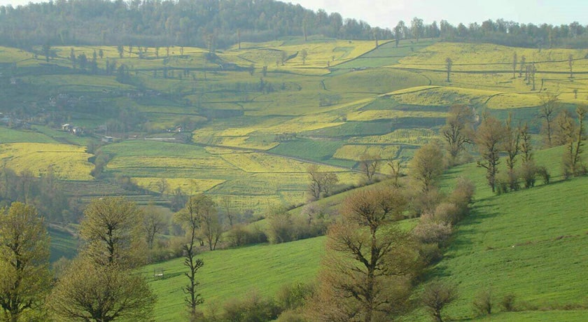 روستای کرسام -  شهر ساری
