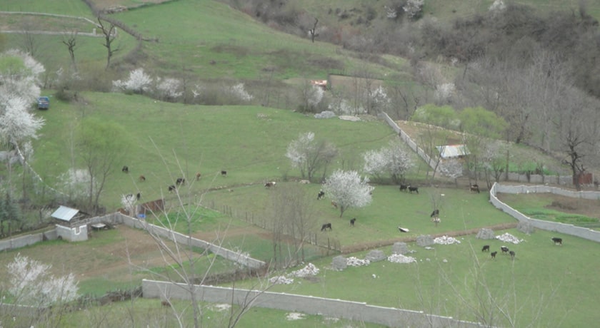 روستای میانا -  شهر ساری