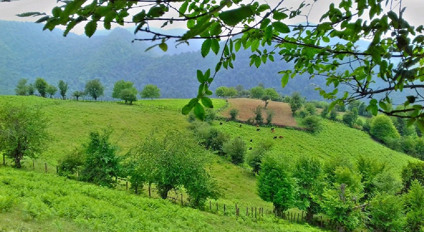 روستای خارخون -  شهر ساری