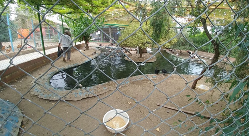  ساحل خزر آباد ساری شهرستان مازندران استان ساری