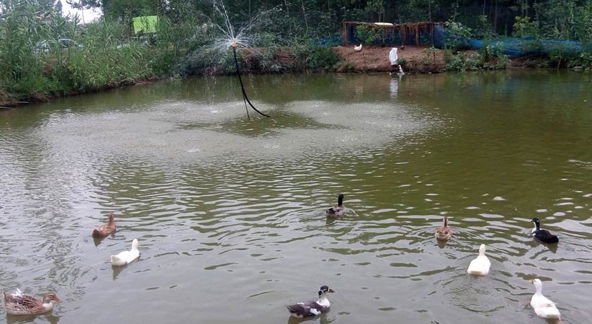  روستای اسبچین شهرستان مازندران استان عباس آباد