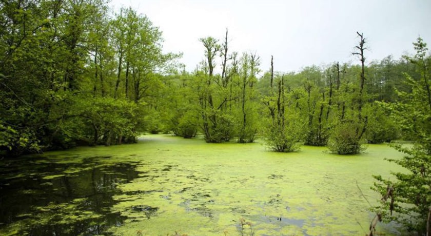  روستای قادیکلا شهرستان مازندران استان بابل