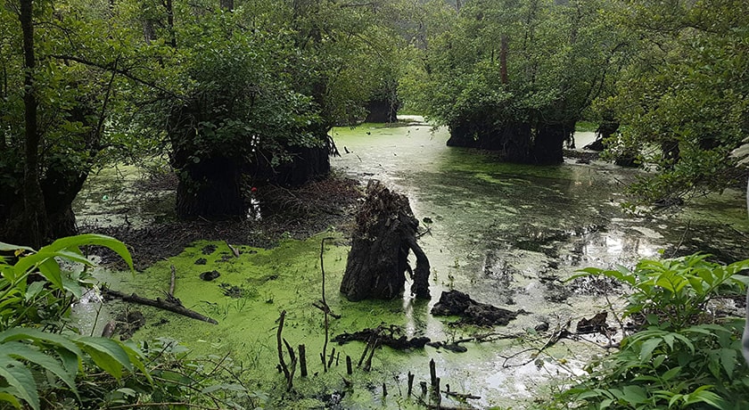  روستای قادیکلا شهرستان مازندران استان بابل