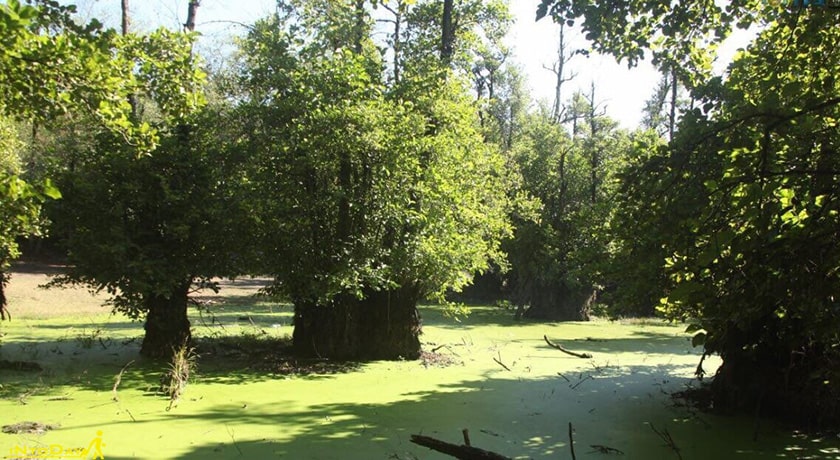  روستای قادیکلا شهرستان مازندران استان بابل