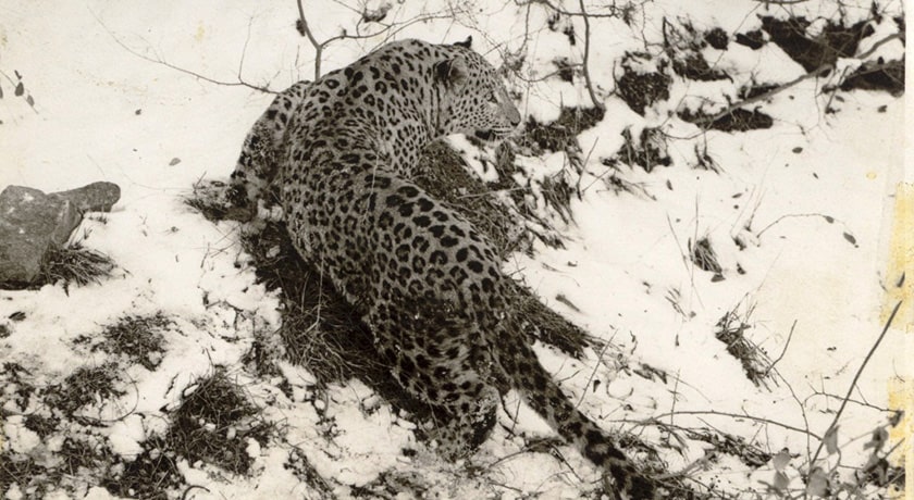  روستای عالی دره شهرستان مازندران استان نوشهر