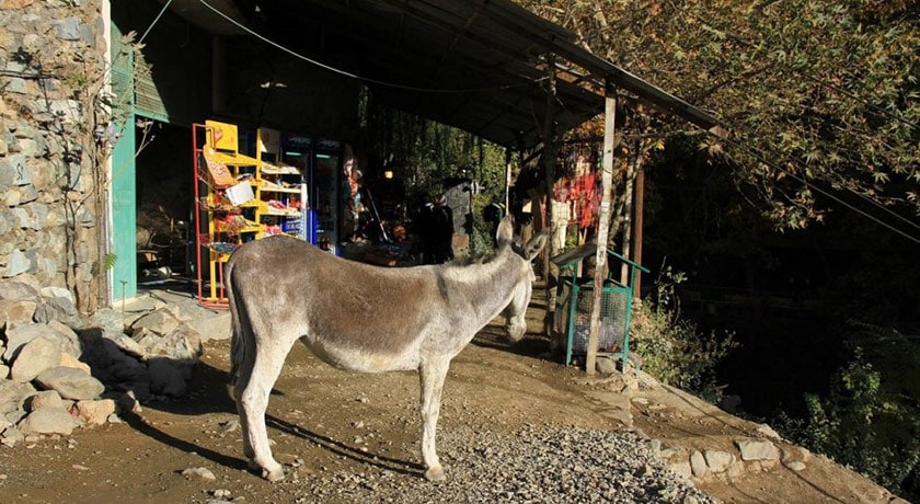 درکه -  شهر تهران
