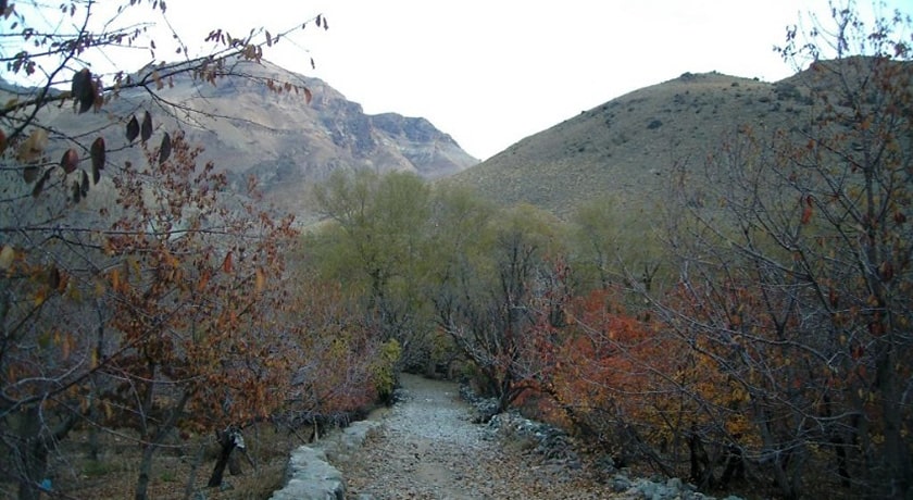  دشت هویج شهرستان تهران استان تهران