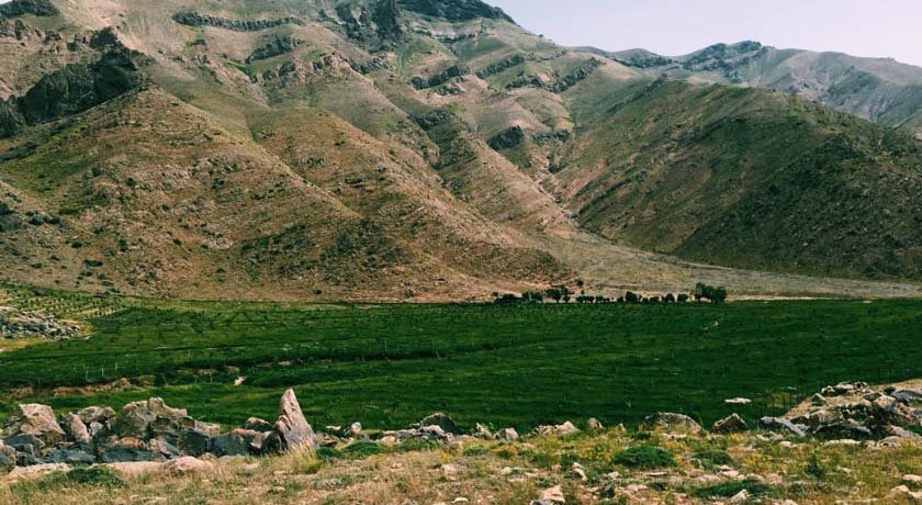  دشت هویج شهرستان تهران استان تهران