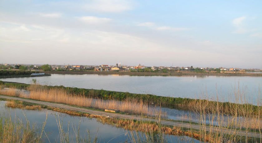 تالاب سراندون و بالندون -  شهر ساری