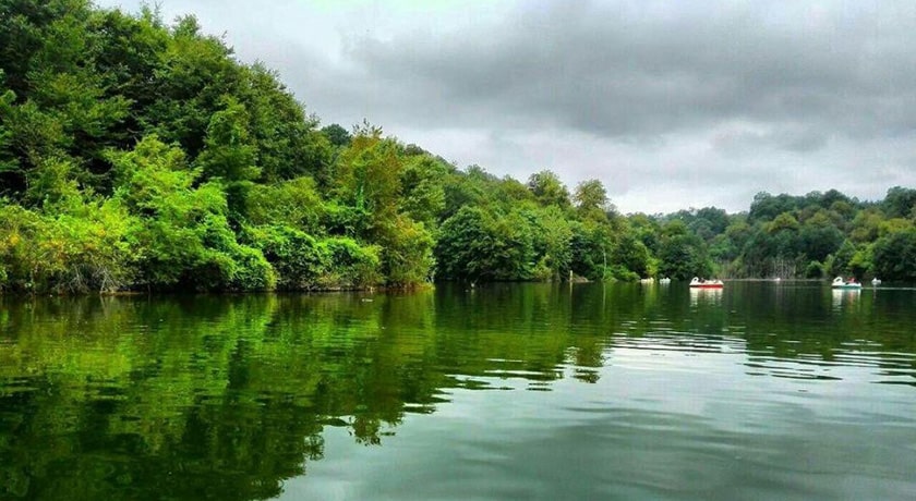  پارک جنگلی کشپل شهرستان مازندران استان نور