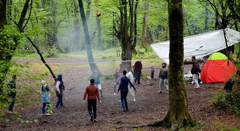  پارک جنگلی نور شهرستان مازندران استان نور