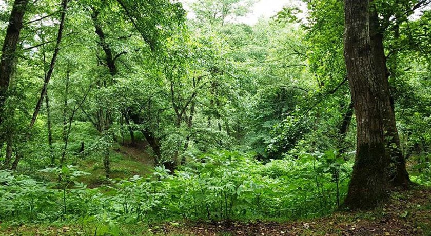  منطقه بند پی شهرستان مازندران استان بابل