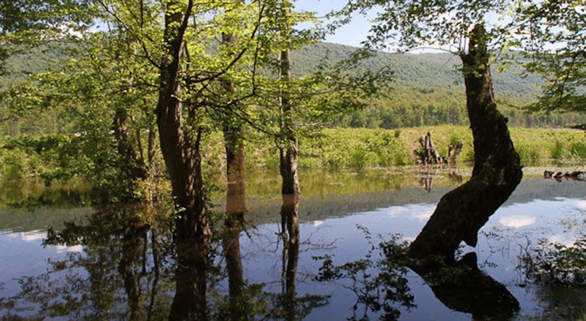 روستای ازنی -  شهر ساری