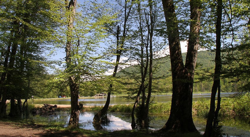 روستای ازنی -  شهر ساری