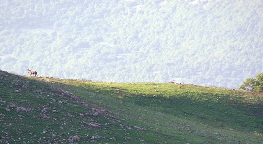  روستای تیلک شهرستان مازندران استان ساری