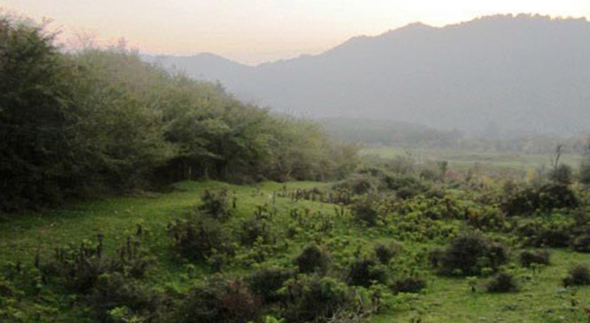  جنگل لاجیم شهرستان مازندران استان شیرگاه