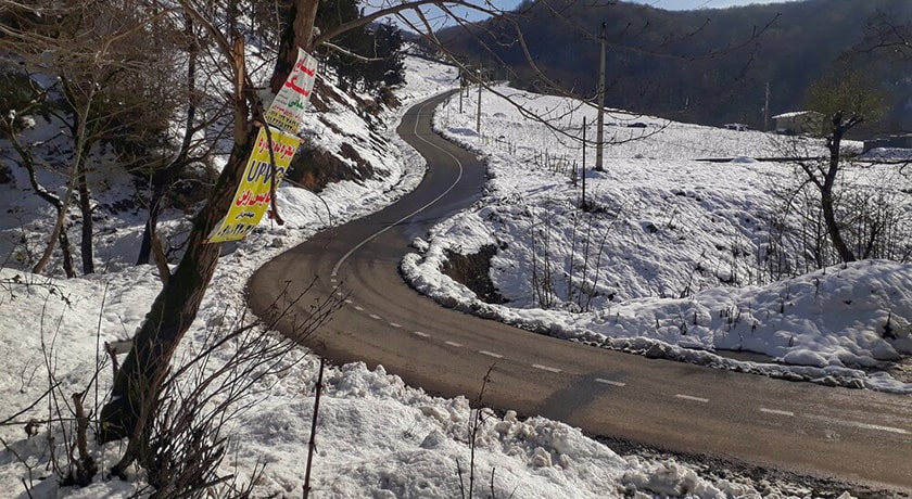  جنگل لاجیم شهرستان مازندران استان شیرگاه