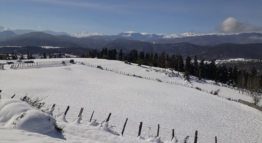  جنگل لاجیم شهرستان مازندران استان شیرگاه