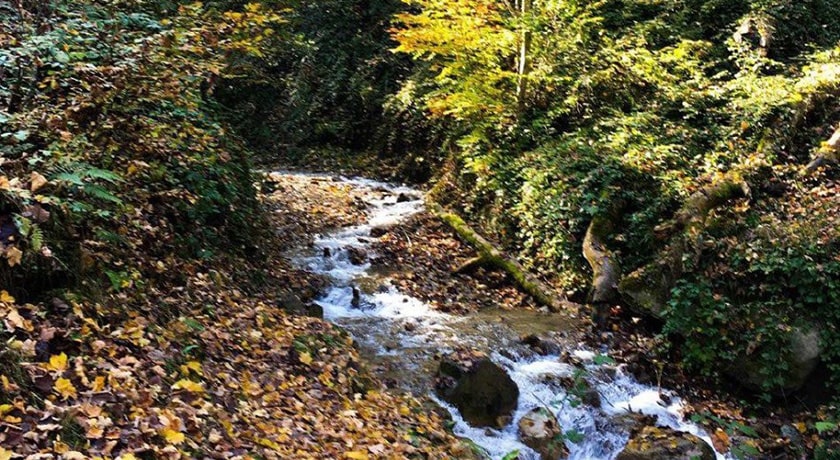 دهستان لاویج -  شهر نور