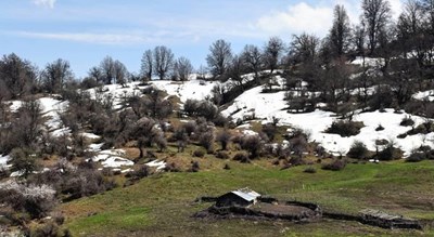  دهستان لاویج شهرستان مازندران استان نور