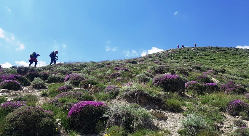 قله پاشوره -  شهر فارس