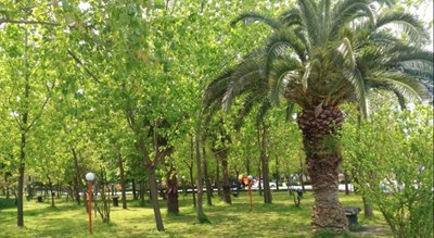 پارک ملت محمود آباد -  شهر محمود آباد	