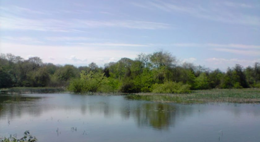 پارک جنگلی تشبندان -  شهر محمود آباد	