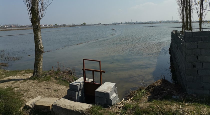 تالاب سرخ رود -  شهر محمود آباد	