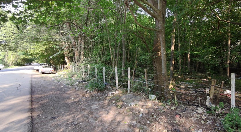  جنگل بونده شهرستان مازندران استان محمود آباد	