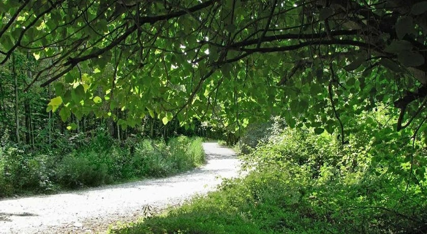  جنگل بونده شهرستان مازندران استان محمود آباد	