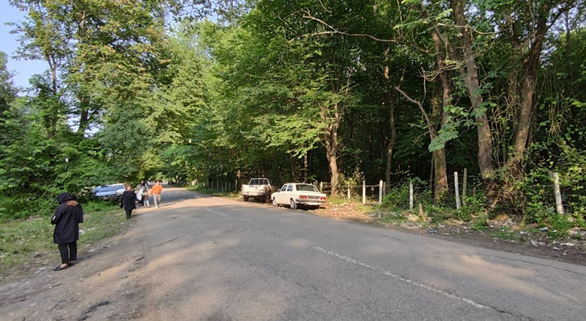 جنگل بونده -  شهر محمود آباد	