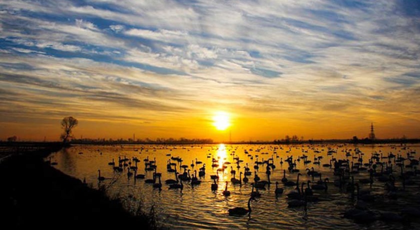  ساحل سرخرود شهرستان مازندران استان محمود آباد	