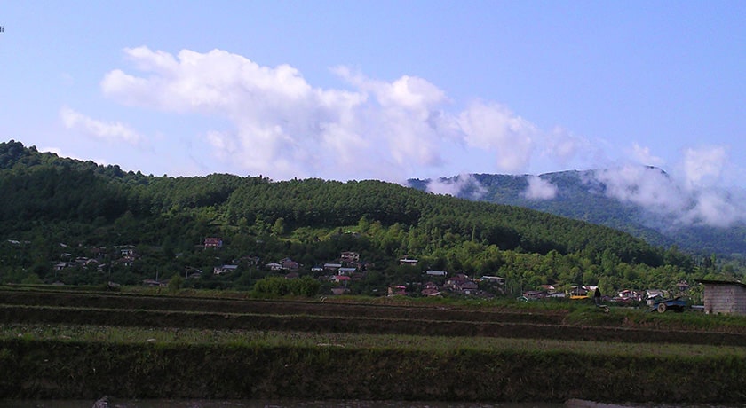  روستیای کلیج خیل شهرستان مازندران استان شیرگاه