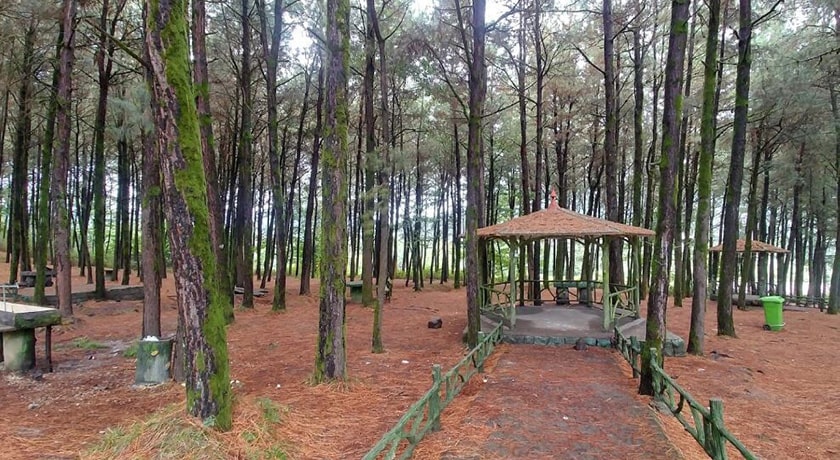  پارک جنگلی بی بی یانلو شهرستان گیلان استان آستارا