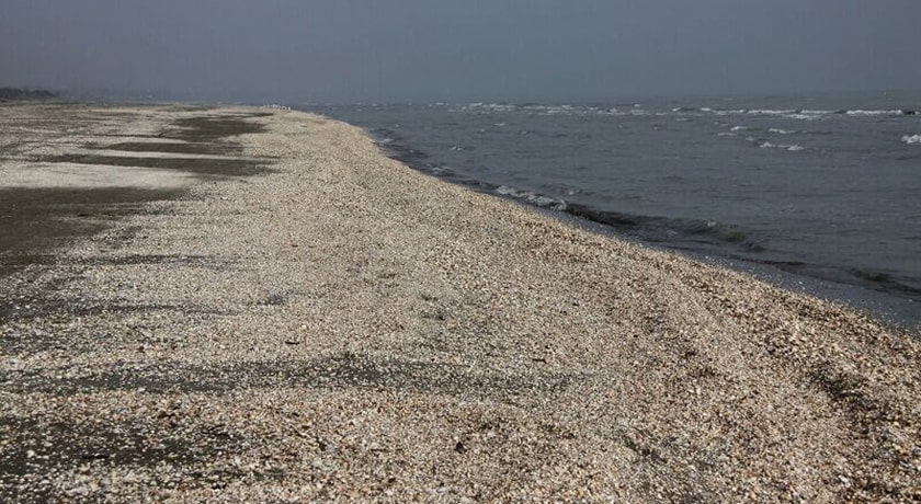 ساحل صدف -  شهر آستارا
