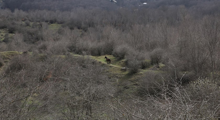  روستای کمر پشت شهرستان مازندران استان پل سفید