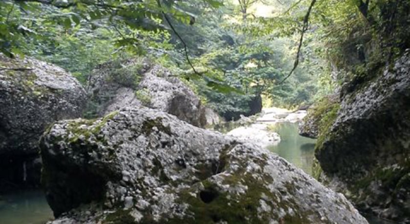  نارنج بن شیرگاه شهرستان مازندران استان شیرگاه