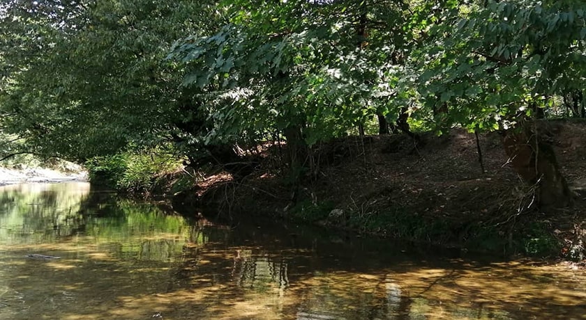  نارنج بن شیرگاه شهرستان مازندران استان شیرگاه