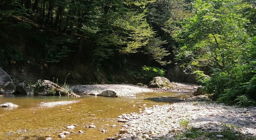  نارنج بن شیرگاه شهرستان مازندران استان شیرگاه