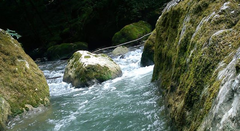  نارنج بن شیرگاه شهرستان مازندران استان شیرگاه