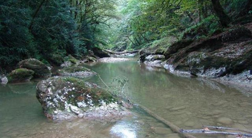  نارنج بن شیرگاه شهرستان مازندران استان شیرگاه