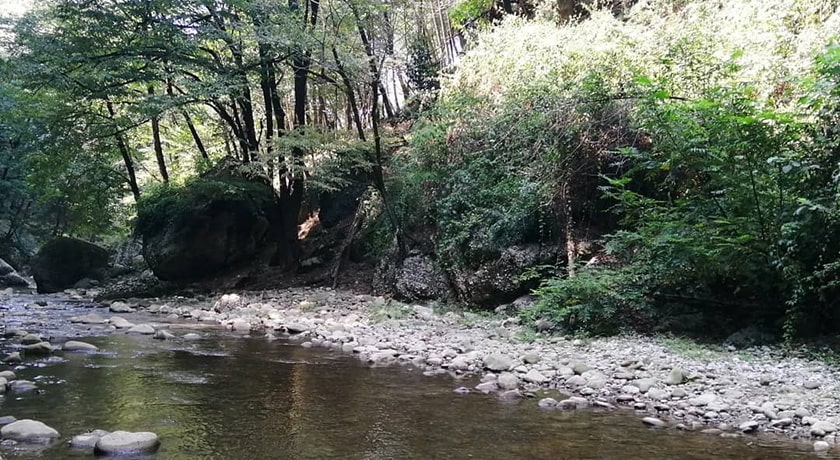  نارنج بن شیرگاه شهرستان مازندران استان شیرگاه